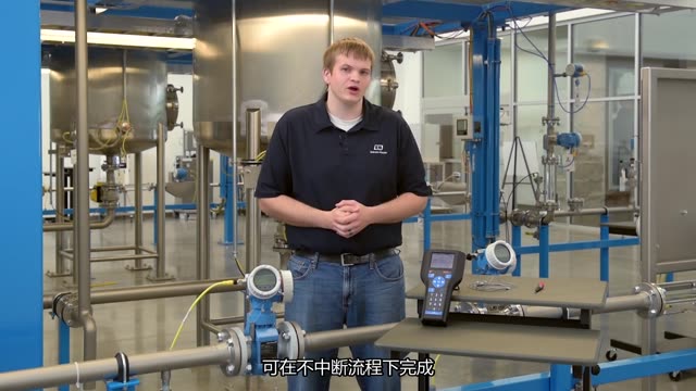 Heartbeat Technology Verification via HART Handheld