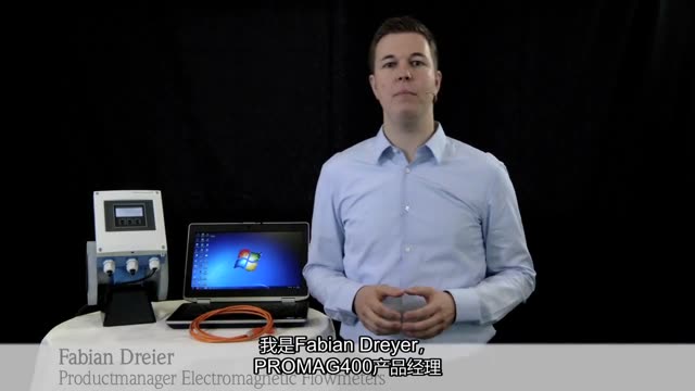 The Proline Web Server